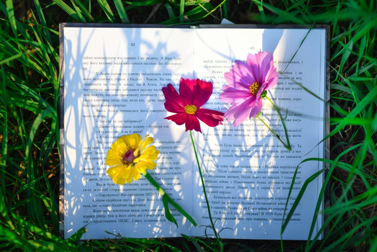 Why Editing Isn’t Just About Grammar: It’s About Protecting the Reader’s Experience