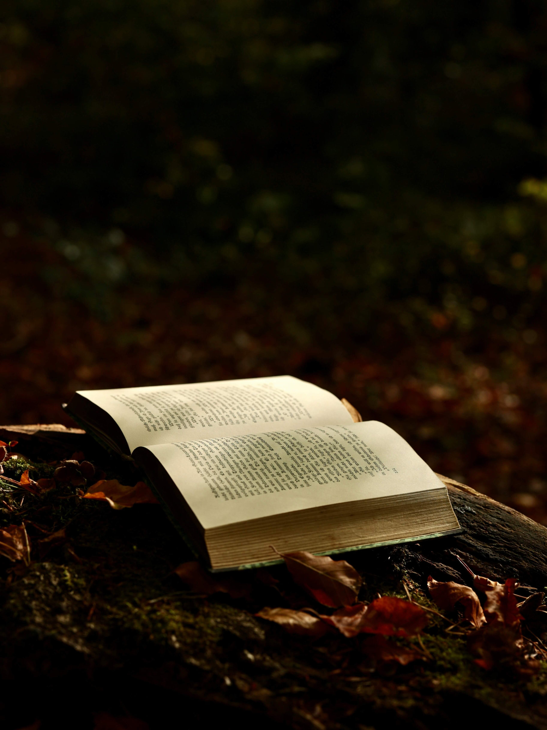 What Makes a Fantasy Novel
