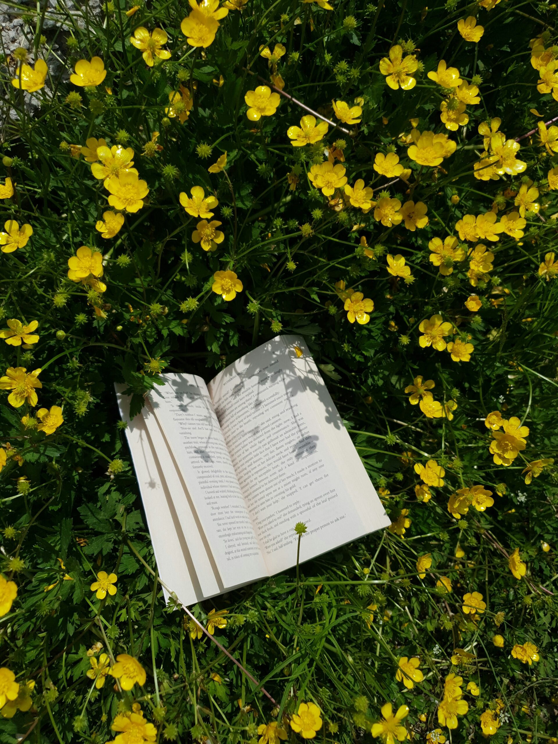 Common Fiction Writing Mistakes: Part 1 (Passive Voice & More)