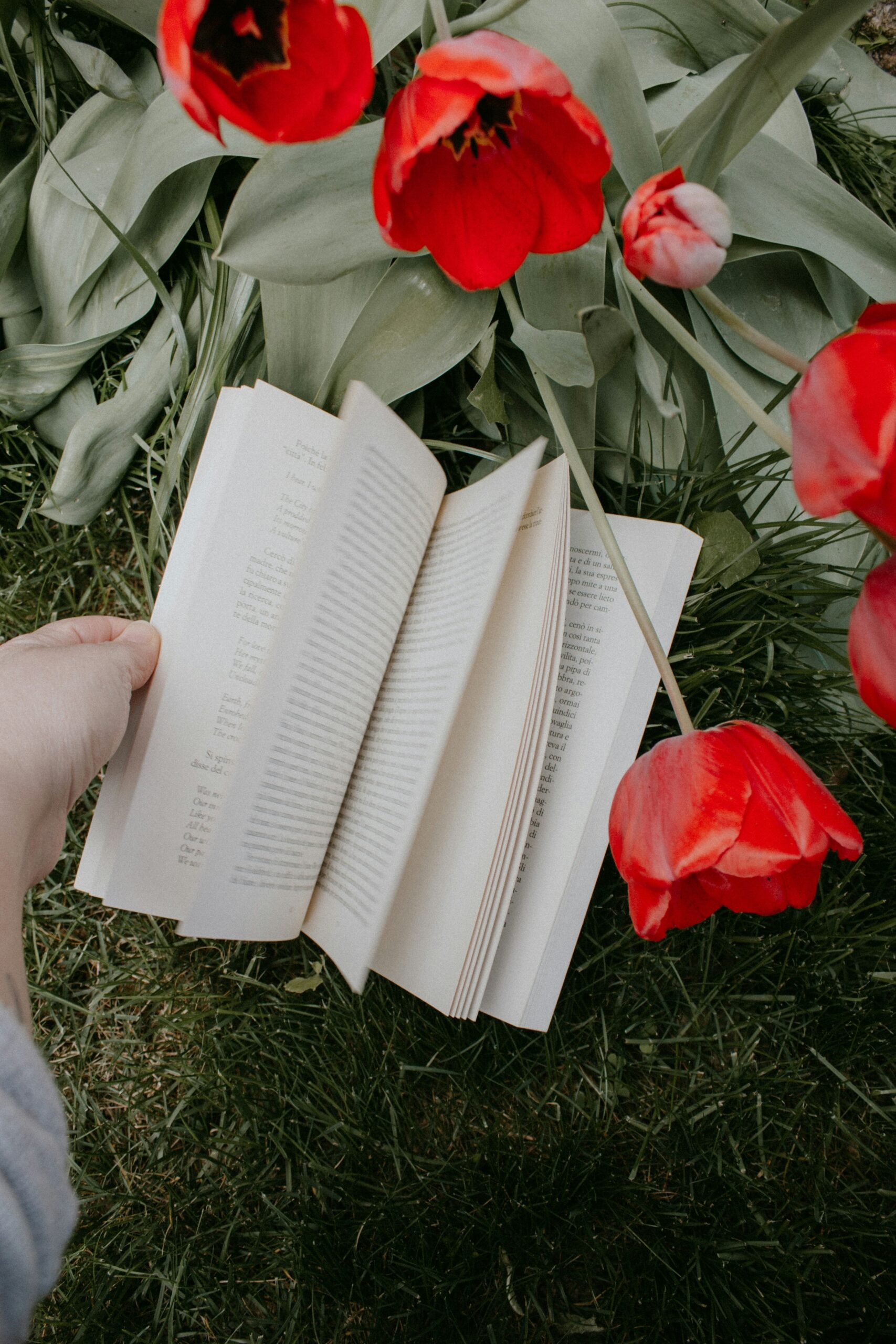 What Every Scene Needs: 7 Essentials for Page-Turning Fiction