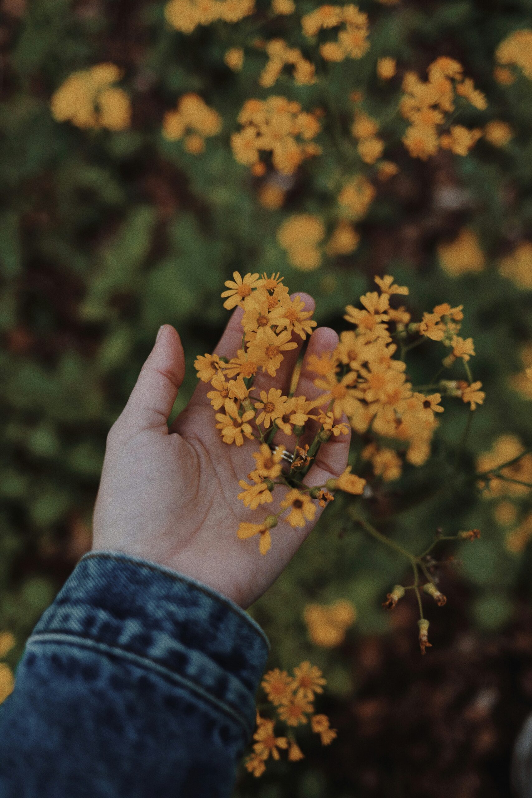 Common Fiction Writing Mistakes: Part 2 (POV, Cause & Effect, and More)