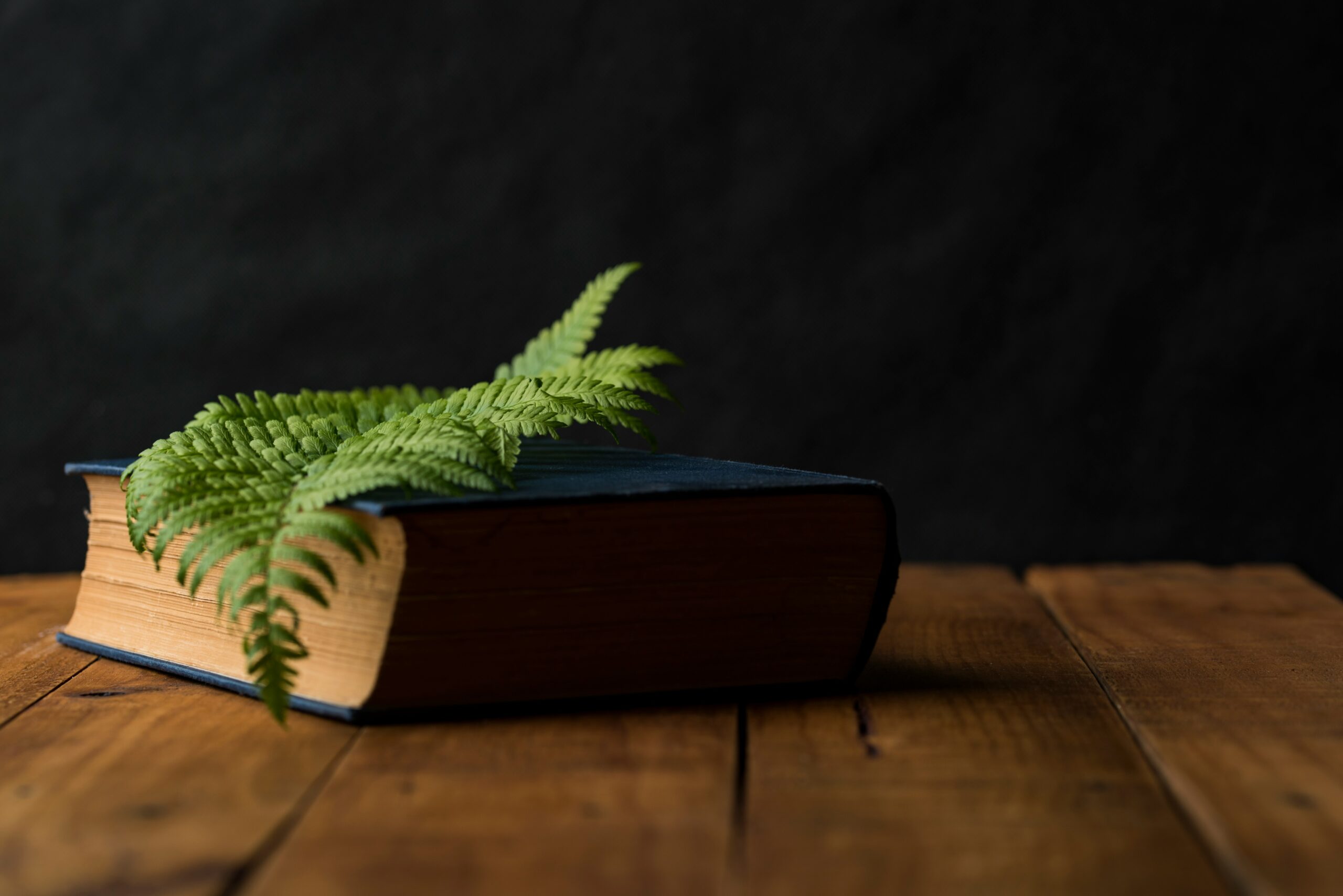 Developmental Edit Preparation: Tips for Debut Authors