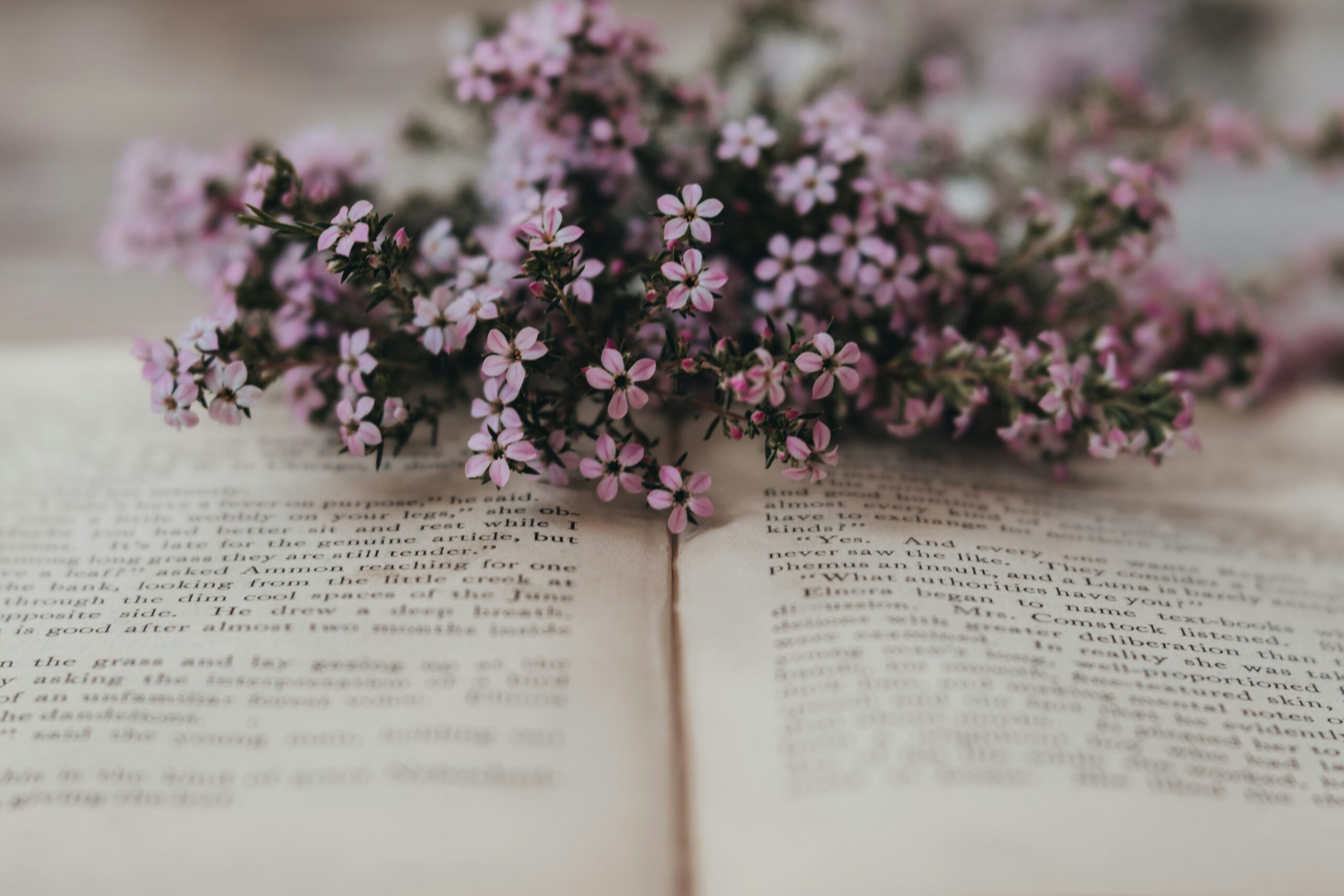 Revise Your First Draft Calmly: Big-Picture Strategy