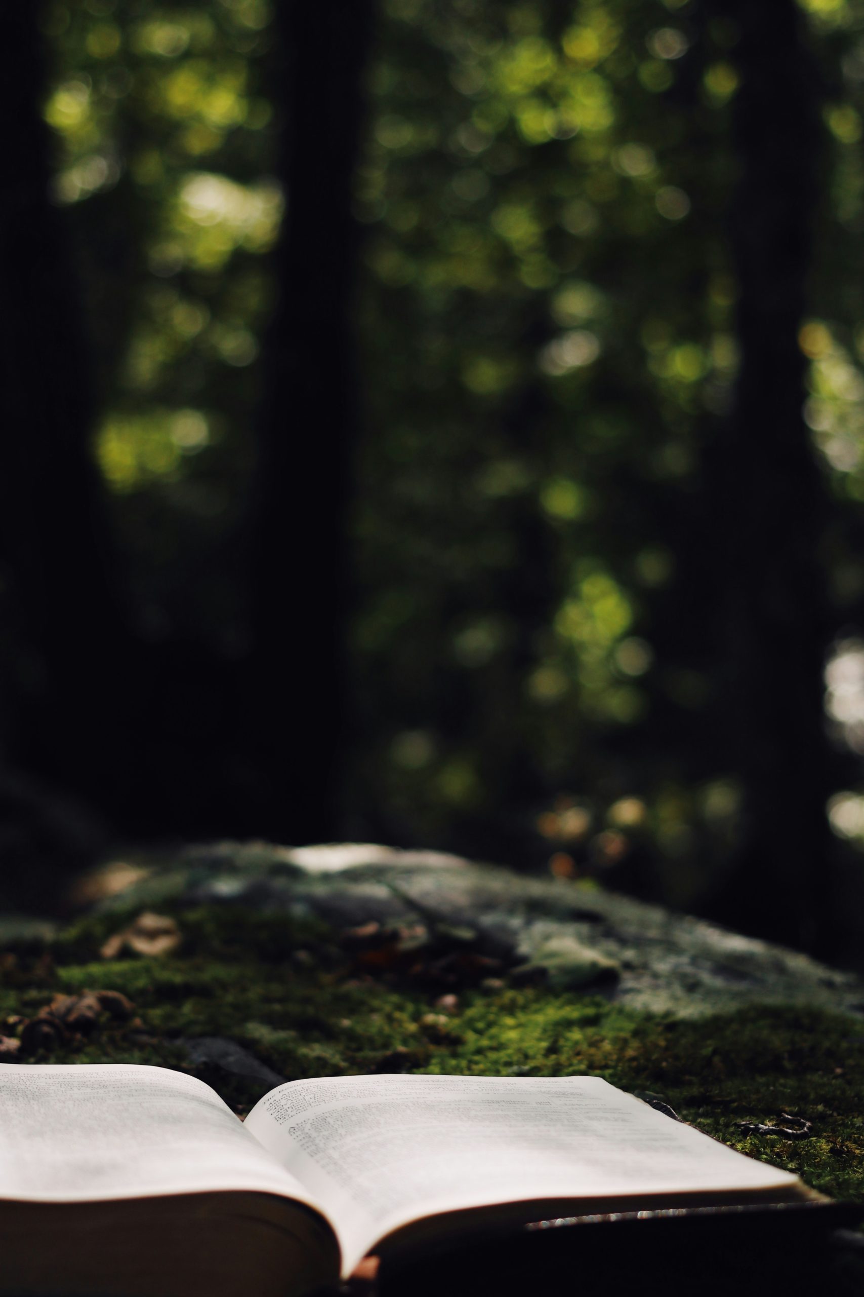 Story Consultations: A Supportive First Step for Authors